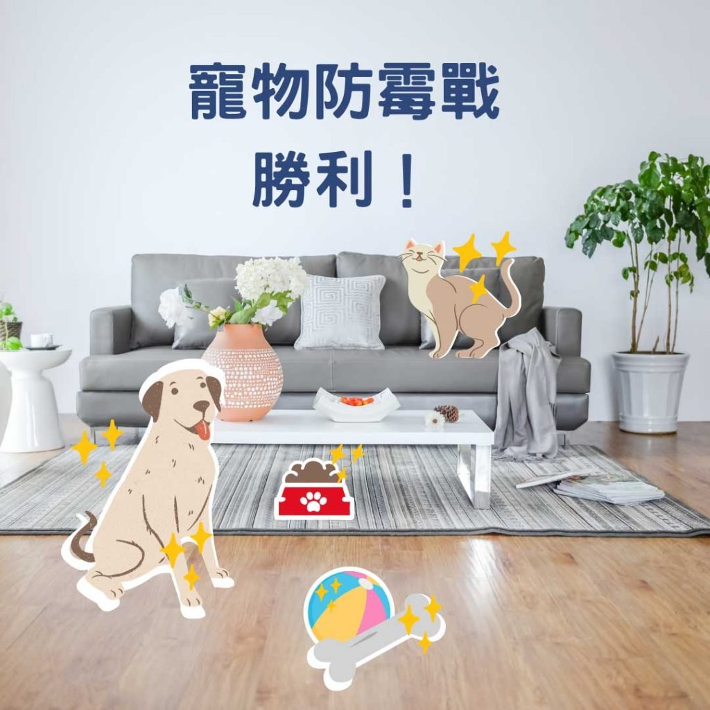 寵物發霉