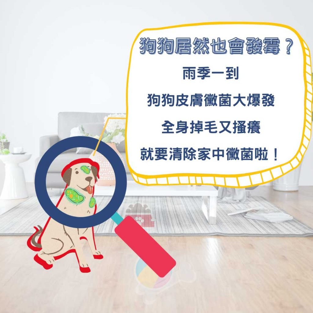 狗狗發霉