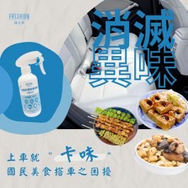 車內異味去除-護立淨 通用型居家抗菌防黴除臭-250ml
